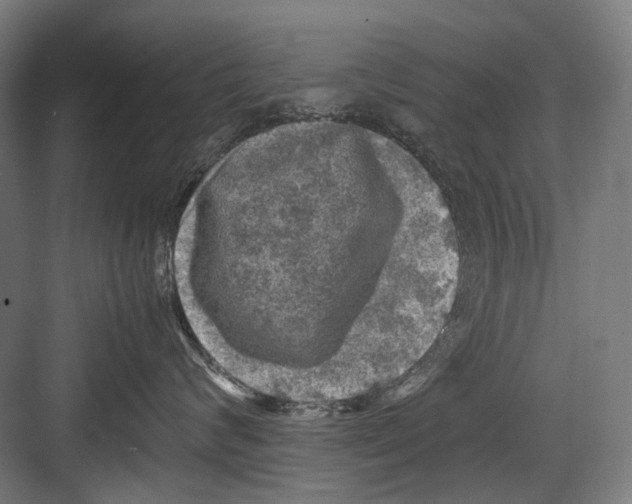 X0000081570624200702121423