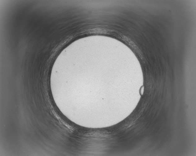 X0000081570625200702121422