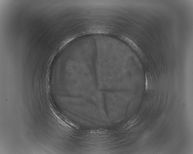 X0000081570627200702121422