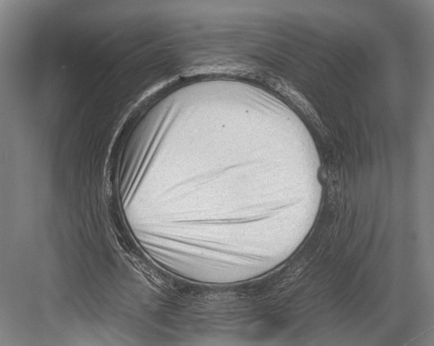 X0000081570628200702121422