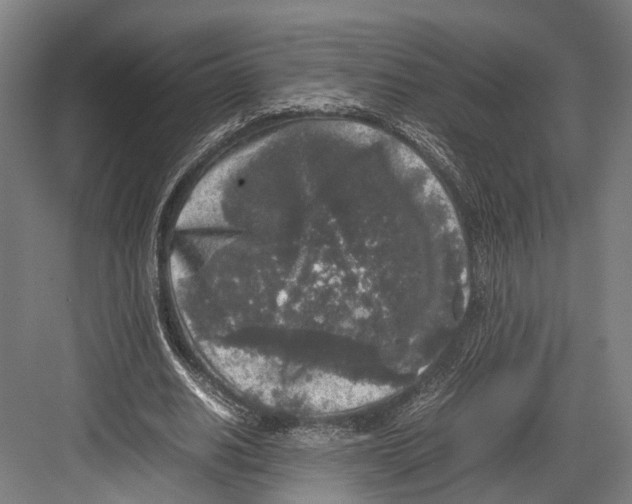 X0000081570630200702121422