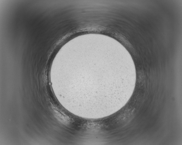 X0000081570632200702121422