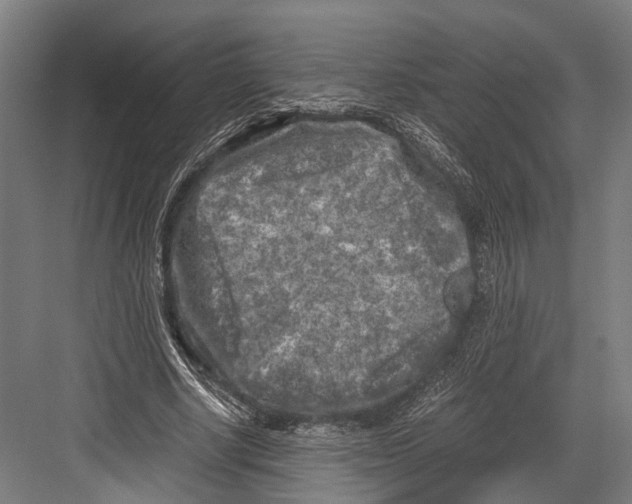 X0000081570634200702121422