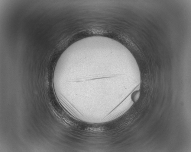 X0000081570639200702121423