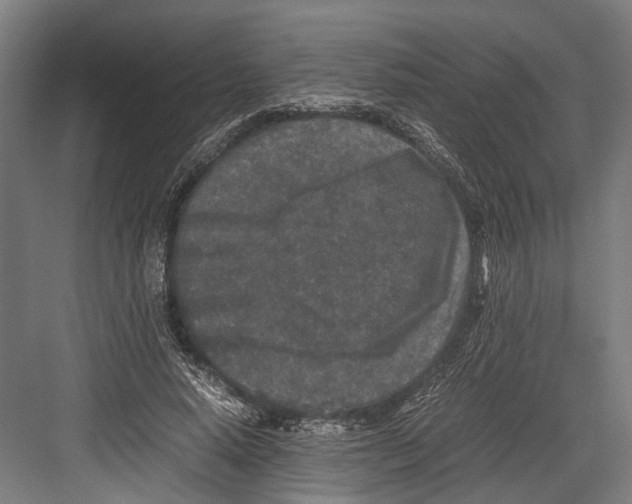 X0000081570640200702121423