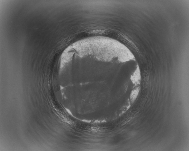 X0000081570641200702121423