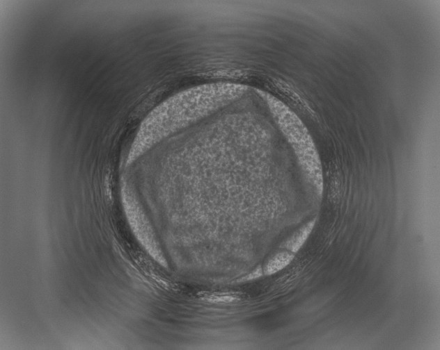 X0000081570643200702121423