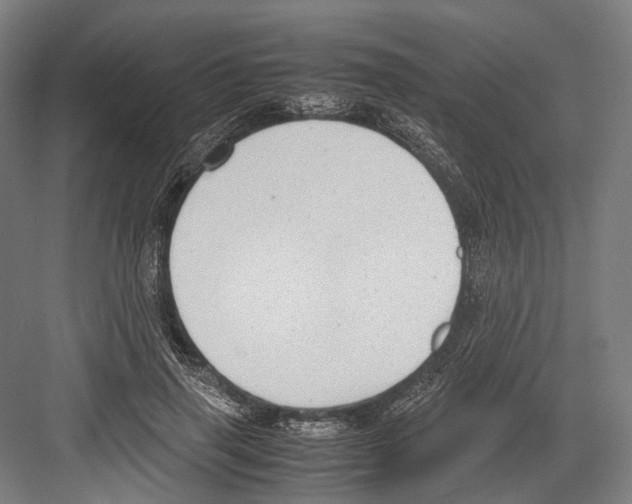 X0000081570645200702121423