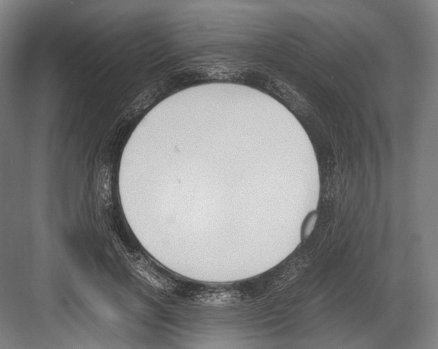 X0000081570646200702121423