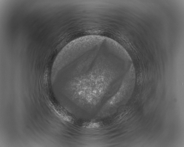 X0000081570647200702121423