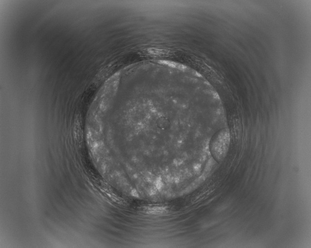 X0000081570651200702121423