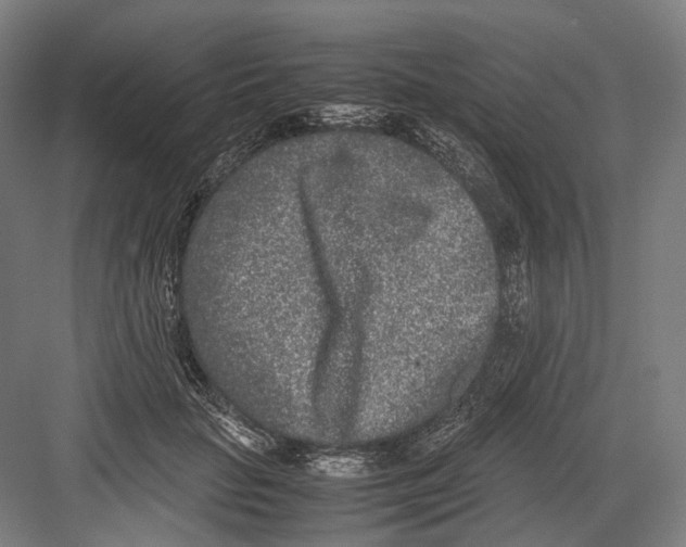 X0000081570653200702121423