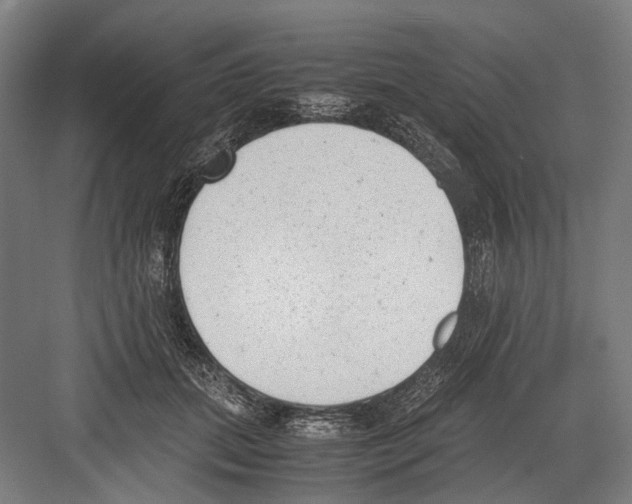 X0000081570655200702121423