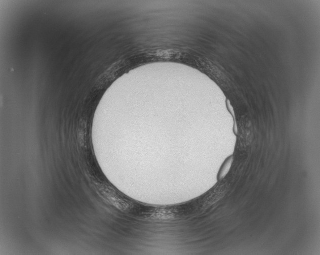 X0000081570656200702121423