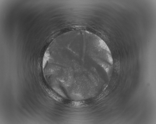 X0000081570662200702121423