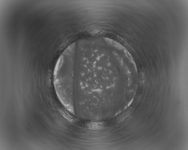 X0000081570664200702121423