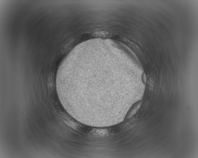 X0000081570665200702121423