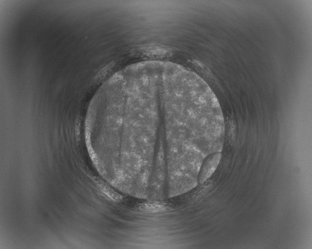 X0000081570668200702121423