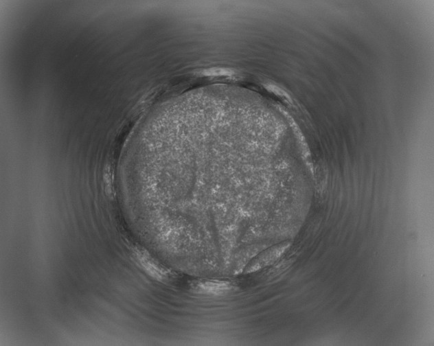 X0000081570669200702121423