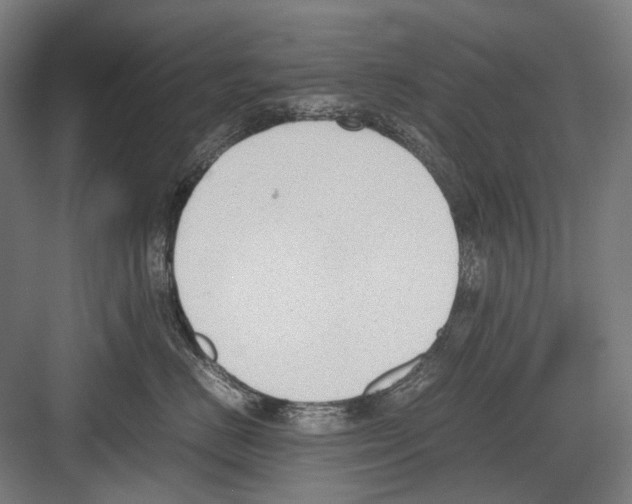 X0000081570670200702121423