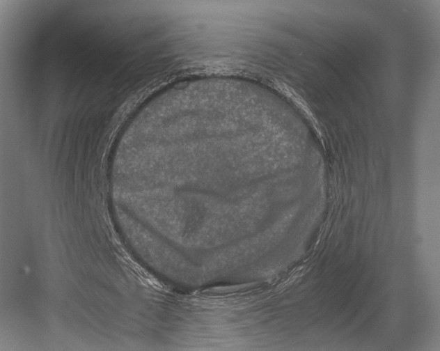 X0000081570673200702121422