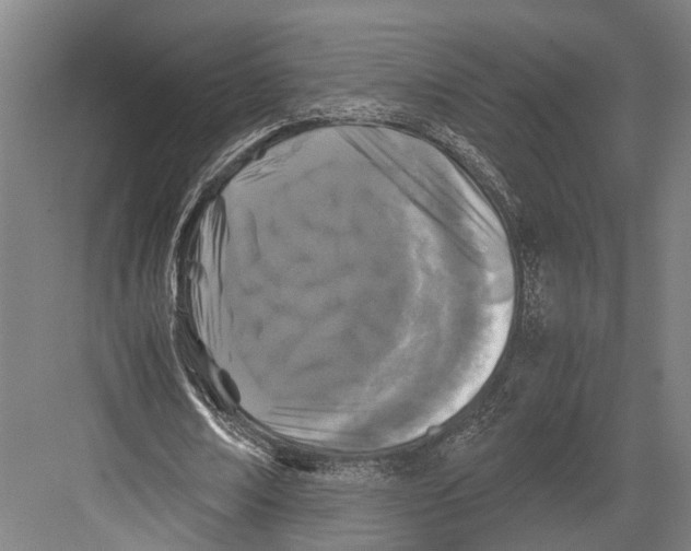 X0000081570674200702121422