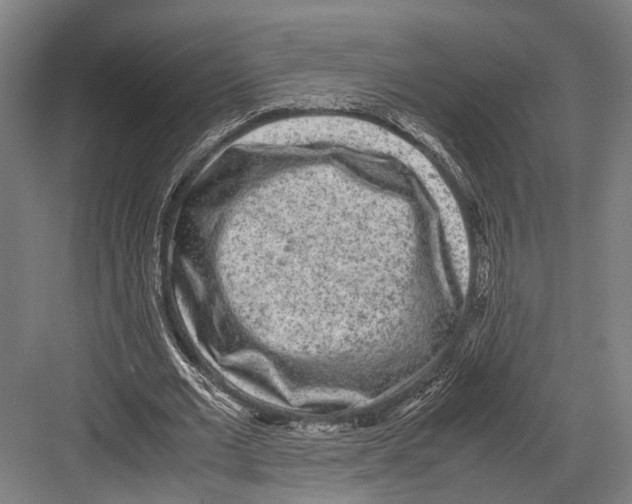 X0000081570677200702121422