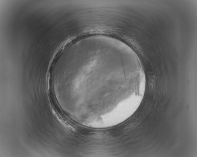 X0000081570678200702121422