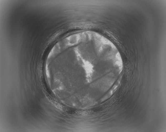 X0000081570679200702121422