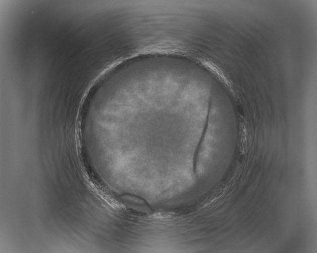 X0000081570680200702121422