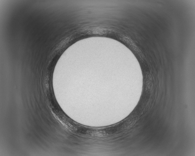 X0000081570683200702121422