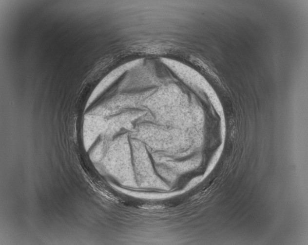 X0000081570685200702121422