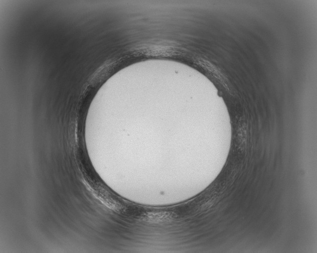 X0000081570686200702121422