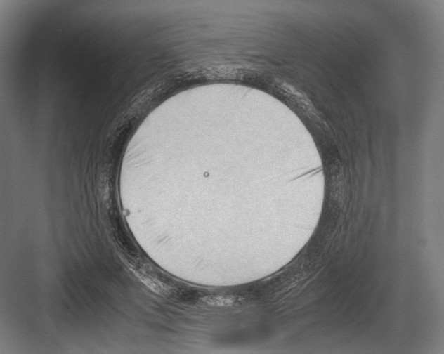 X0000081570687200702121422