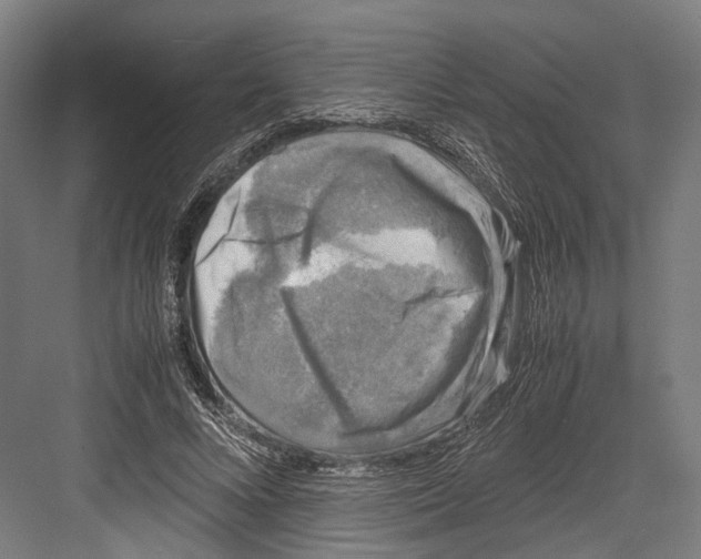 X0000081570688200702121422