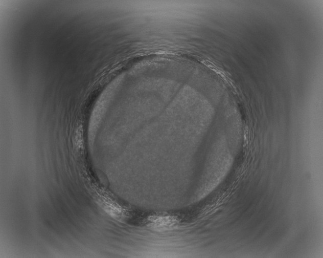 X0000081570689200702121422