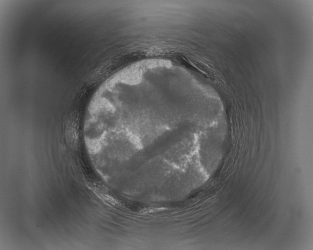 X0000081570691200702121422