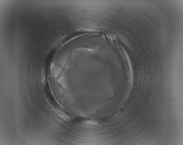 X0000081570692200702121422