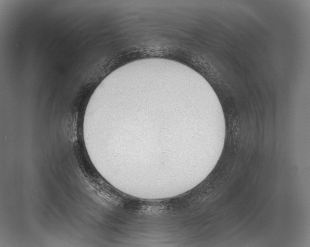 X0000081570694200702121422