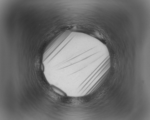 X0000081570697200702121422