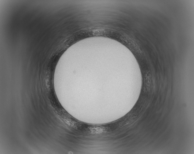 X0000081570698200702121422