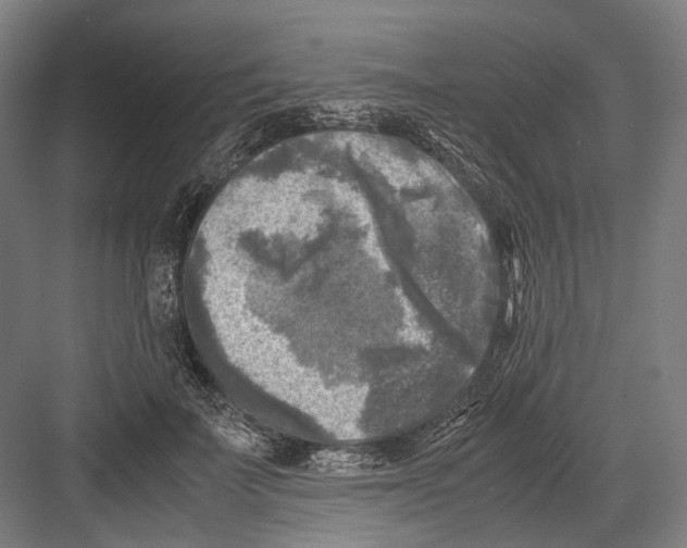 X0000081570699200702121422