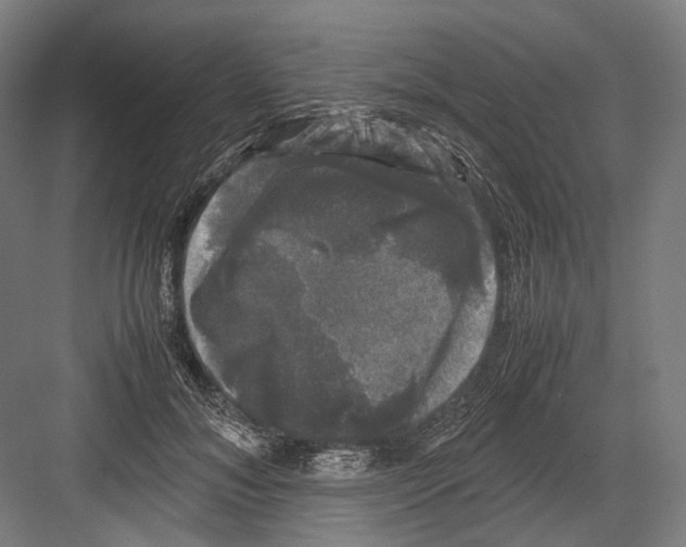 X0000081570700200702121422