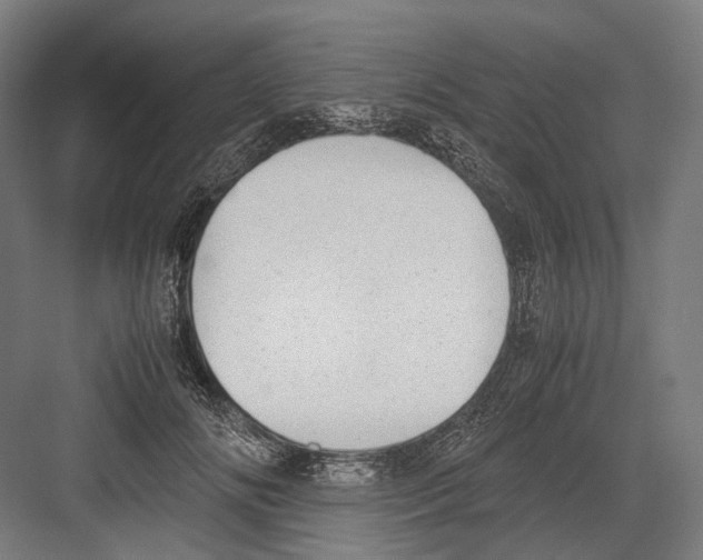 X0000081570702200702121422