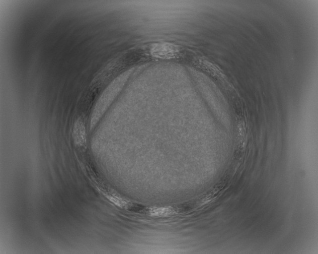 X0000081570705200702121422