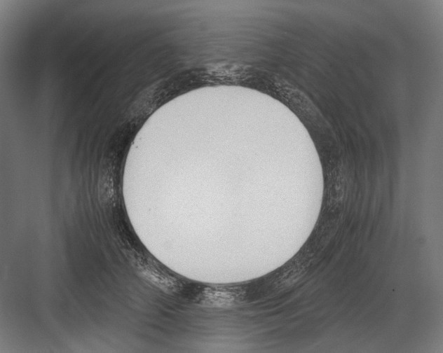 X0000081570706200702121422