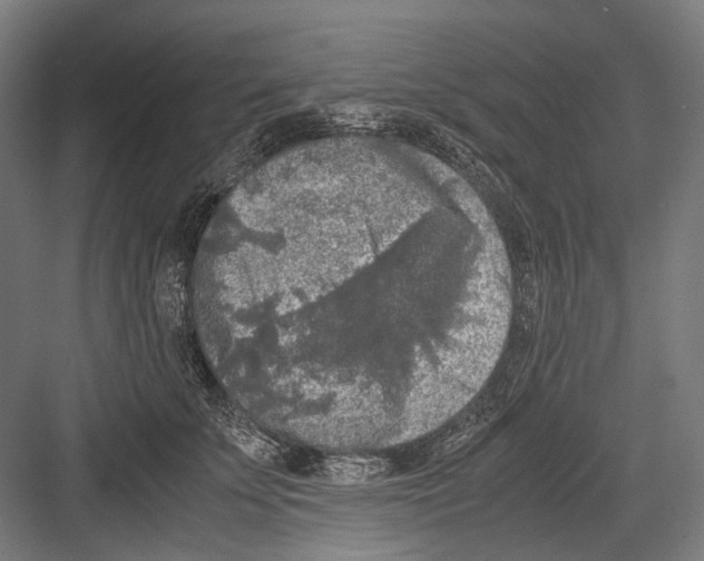 X0000081570707200702121422