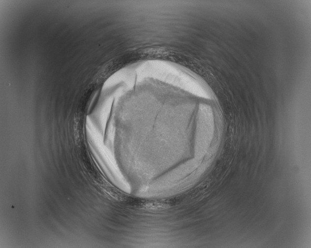 X0000081570708200702121422