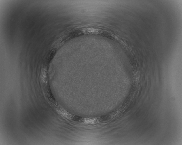 X0000081570709200702121422