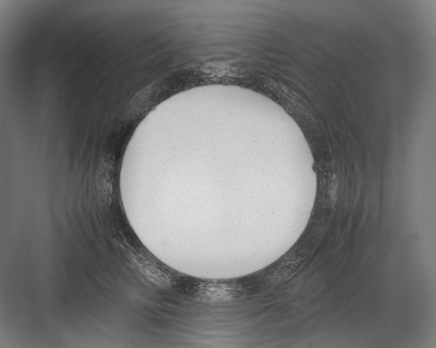 X0000081570710200702121422